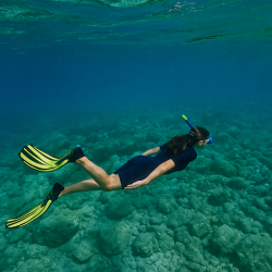 Snorkeling & Diving Trips