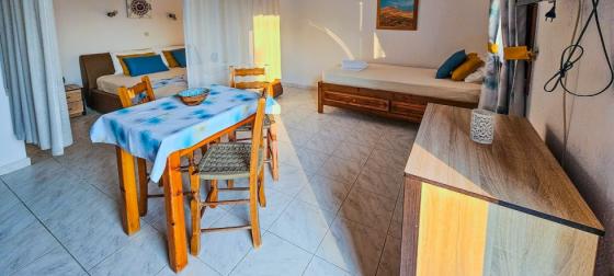 Spacious Studio with Semi-Private Bedroom & Pool-View Terrace