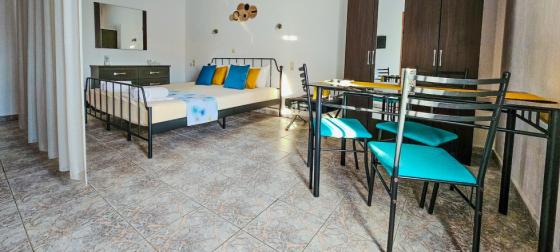  Large Studio with Dining Area & Garden Terrace