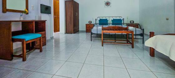 Garden Level Studio with Terrace