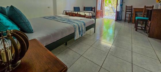 Garden Level Studio with Terrace