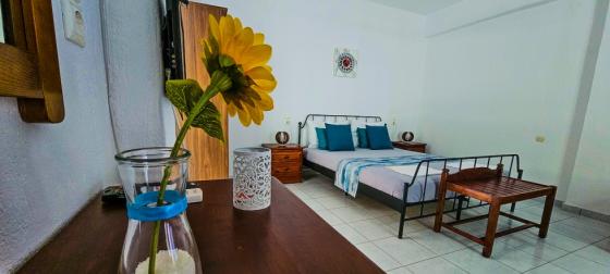 Garden Level Studio with Terrace